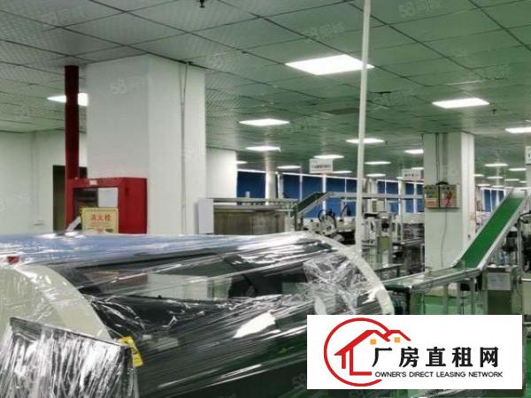  凤岗前卫工业园新出一楼900平原房东带装修厂房出租200起租