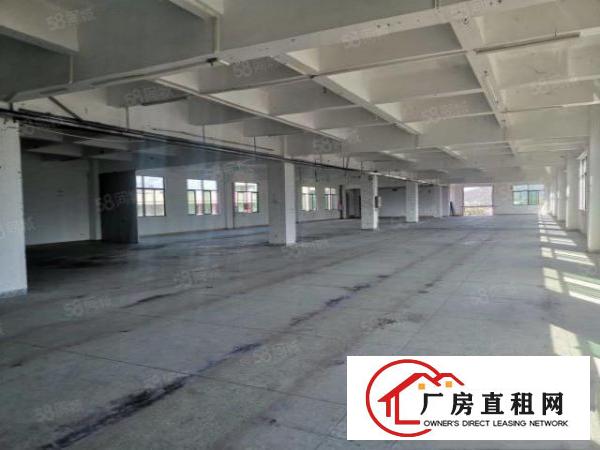  塘厦凤凰岗工业区花园式厂房3楼1480平方出租，面积实在