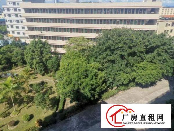  塘厦凤凰岗工业区花园式厂房3楼1480平方出租，面积实在
