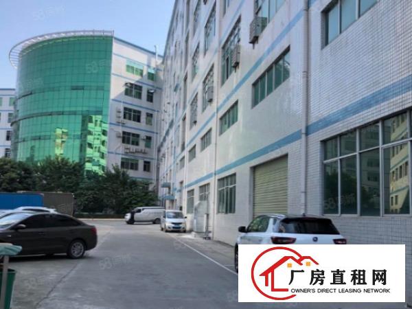  科苑城一楼1000平现成装修可签8年，原房东直租手慢无