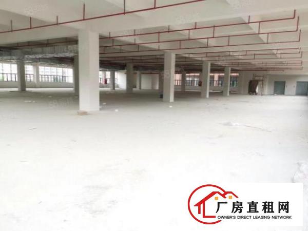  塘厦沙湖全新厂房2700平方一层，丙二类消防，超大空地