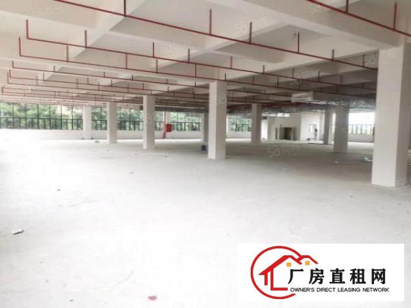  塘厦沙湖全新厂房2700平方一层，丙二类消防，超大空地
