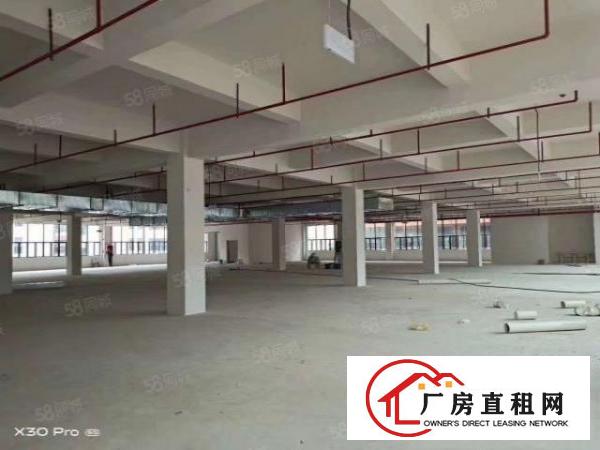  塘厦沙湖全新厂房2700平方一层，丙二类消防，超大空地