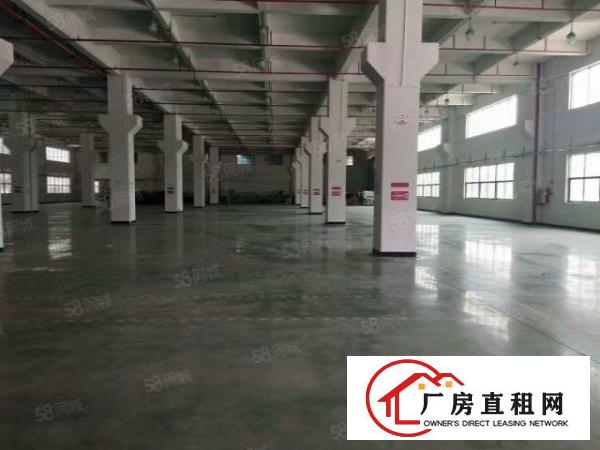  五高新科技园一二楼带行车出租兴业办厂的发财宝地