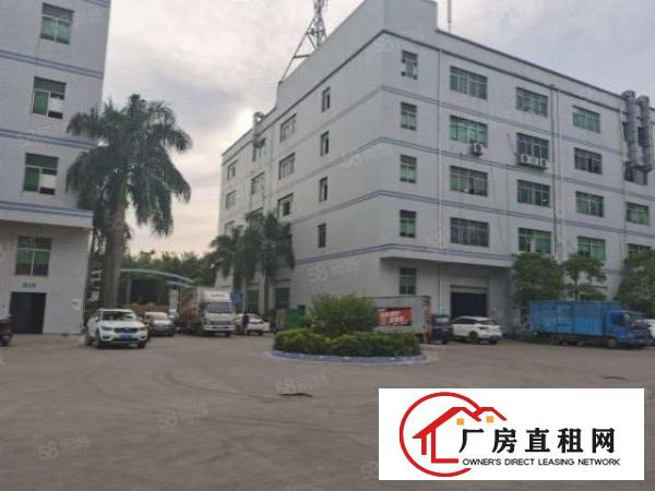  塘厦科苑城楼上新空2500平方，面积实在，干净整洁，格局方正