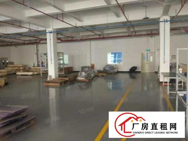  塘厦石鼓独院标准2楼1200平方！灰色地坪漆精装修
