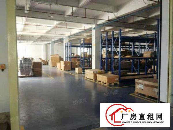  塘厦石鼓独院标准2楼1200平方！灰色地坪漆精装修