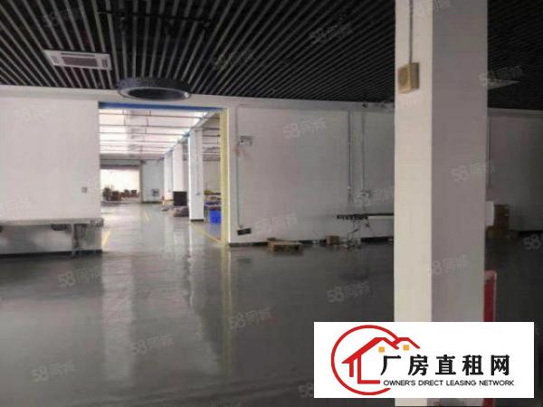  塘厦石鼓独院标准2楼1200平方！灰色地坪漆精装修