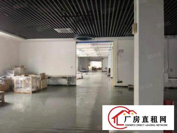  塘厦石鼓独院标准2楼1200平方！灰色地坪漆精装修