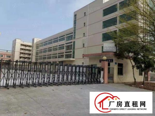  塘厦石鼓独院标准2楼1200平方！灰色地坪漆精装修