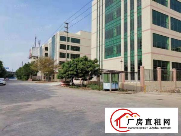  塘厦石鼓独院标准2楼1200平方！灰色地坪漆精装修