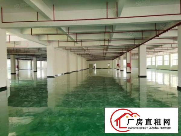  塘厦科苑城楼上5000平带装修适合电商，SMT行业等厂房出租