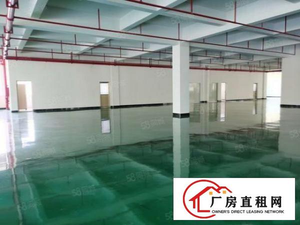  塘厦科苑城楼上5000平带装修适合电商，SMT行业等厂房出租