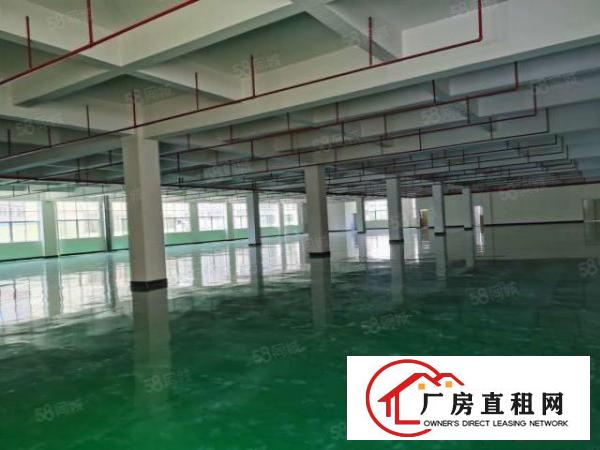  塘厦科苑城楼上5000平带装修适合电商，SMT行业等厂房出租