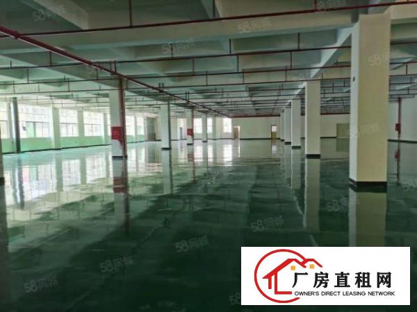  塘厦科苑城楼上5000平带装修适合电商，SMT行业等厂房出租