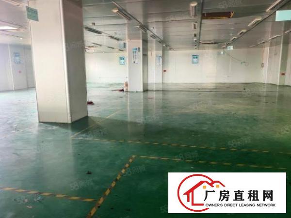  塘厦石鼓现成无尘车间1200平方出租，水电齐全，价钱便宜