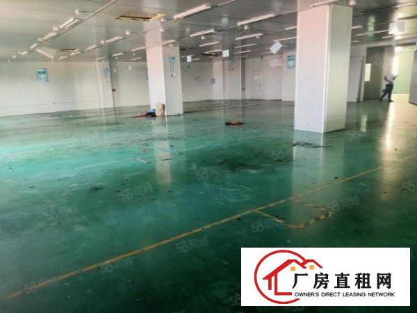  塘厦石鼓现成无尘车间1200平方出租，水电齐全，价钱便宜