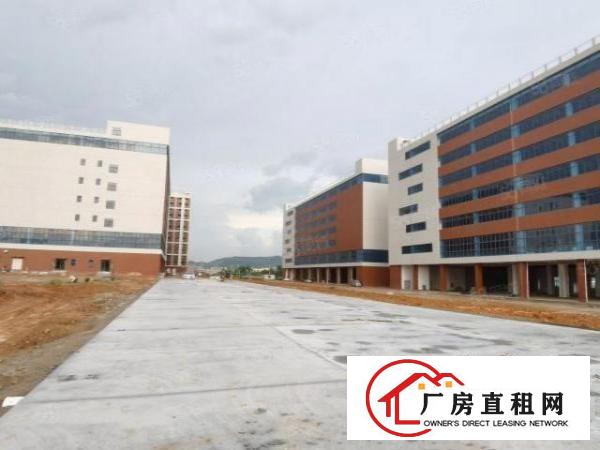  塘厦林村高速口十万平产业园，现成配置，带卸货平台
