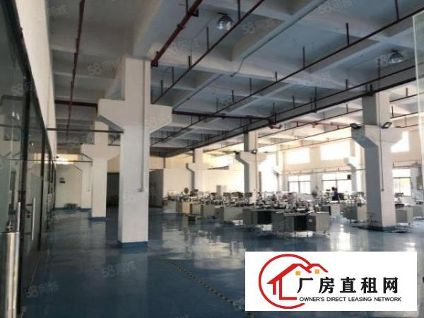  塘厦大坪高速出口科苑城独院10000平方红本厂房招租