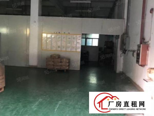  塘厦桥陇新出标准独院8000平，香港房东，整租优先物业勿扰。