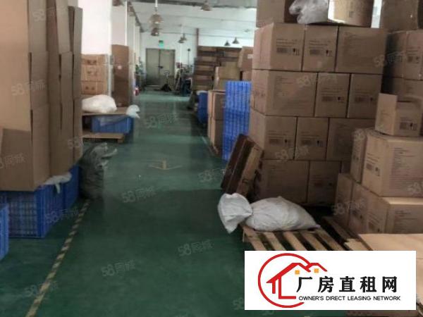  塘厦桥陇新出标准独院8000平，香港房东，整租优先物业勿扰。