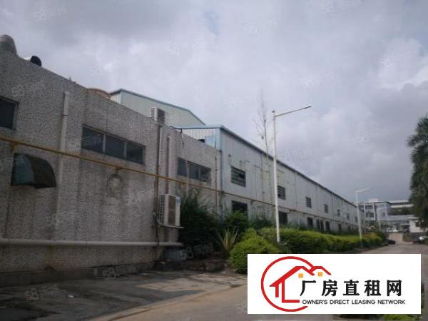  塘厦田心新出原房东钢构2500平方，厂房带塑胶喷油环评