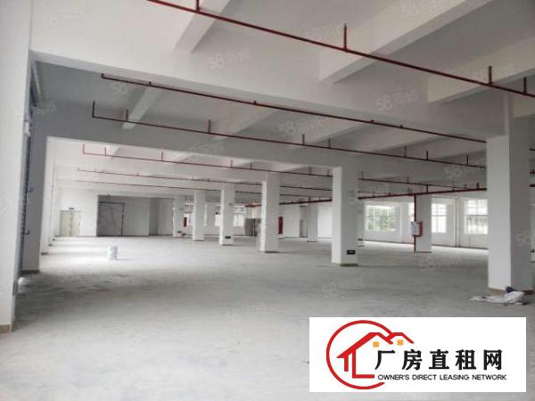  塘厦旺角路1500平标厂原房东可分租15元处理可做机械压铸