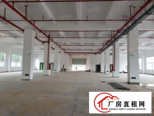  塘厦旺角路1500平标厂原房东可分租15元处理可做机械压铸