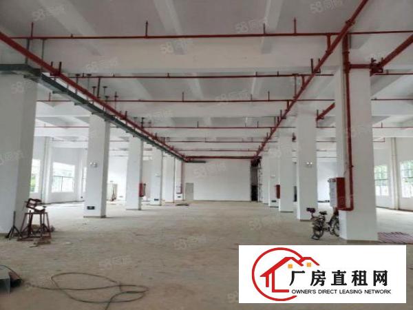  塘厦旺角路1500平标厂原房东可分租15元处理可做机械压铸