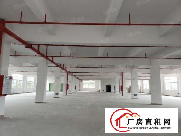  塘厦旺角路1500平标厂原房东可分租15元处理可做机械压铸