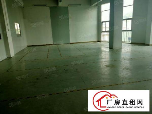  塘厦桥陇新出标准厂房楼上450平方，精装修办公室，价钱实惠