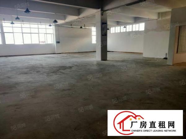  塘厦桥陇新出标准厂房楼上450平方，精装修办公室，价钱实惠