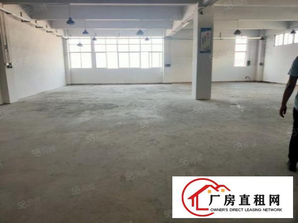  塘厦桥陇新出标准厂房楼上450平方，精装修办公室，价钱实惠