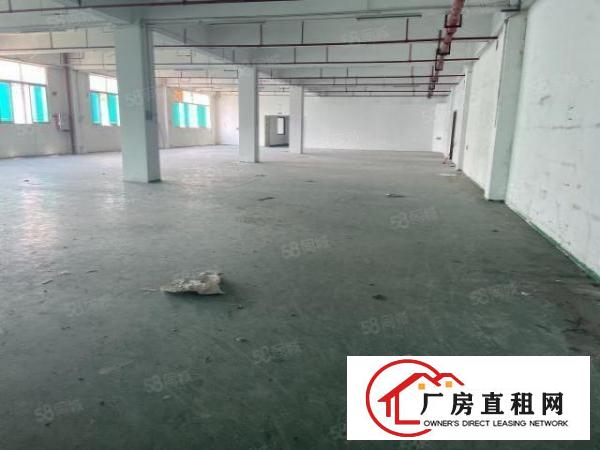  塘厦龙背岭原房东楼上整层1680平米带前台办公室车间