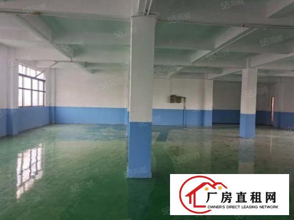  塘厦莲湖独院标准楼上580平方！全新绿色地坪漆！实拍视频图片