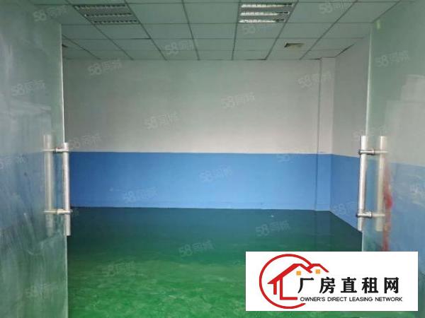  塘厦莲湖独院标准楼上580平方！全新绿色地坪漆！实拍视频图片