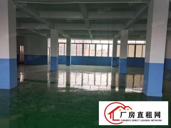  塘厦莲湖独院标准楼上580平方！全新绿色地坪漆！实拍视频图片