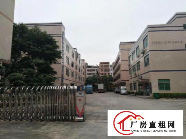  塘厦莲湖独院标准楼上580平方！全新绿色地坪漆！实拍视频图片