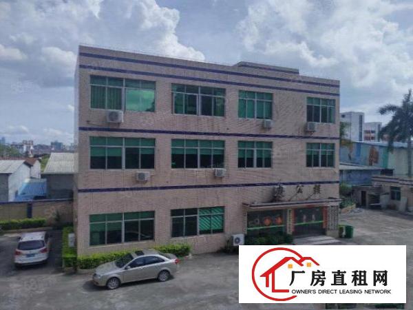  塘厦莲湖独院标准楼上580平方！全新绿色地坪漆！实拍视频图片