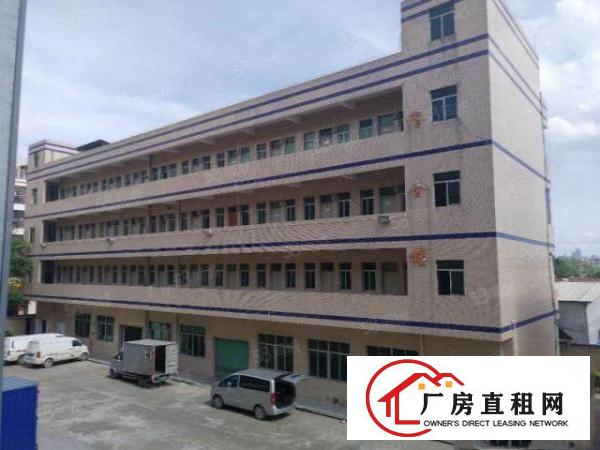  塘厦莲湖独院标准楼上580平方！全新绿色地坪漆！实拍视频图片