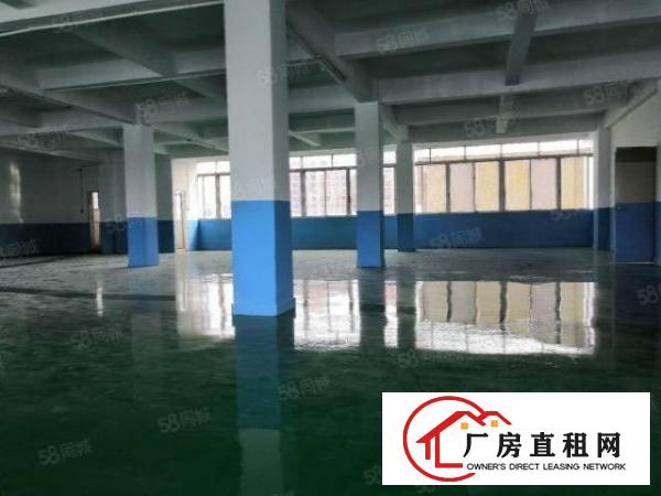 塘厦沙湖临深片区，标准楼上厂房450平，近大坪高速口