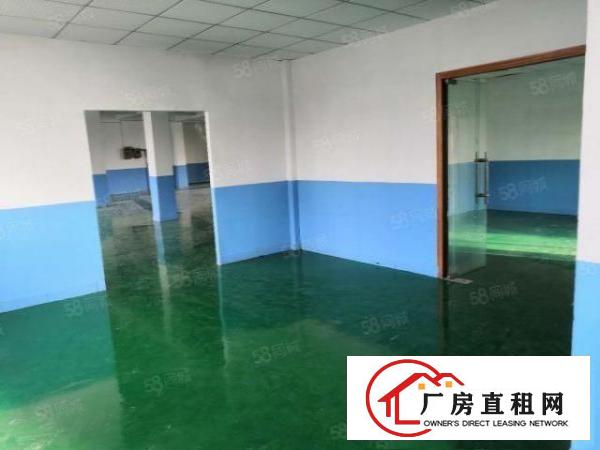  塘厦沙湖临深片区，标准楼上厂房450平，近大坪高速口