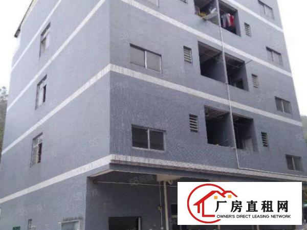  笋盘！塘厦龙背岭新出独院5000平，形象好，可整租分租