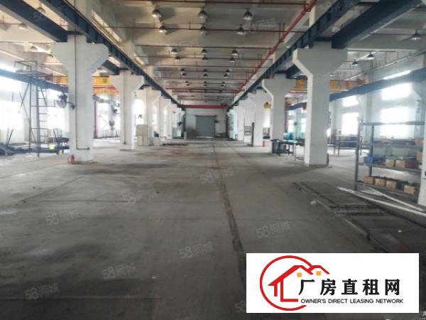  笋盘！塘厦龙背岭新出独院5000平，形象好，可整租分租