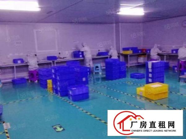  塘厦莆心湖厂房出租1000平，现成无尘车间无需转让费