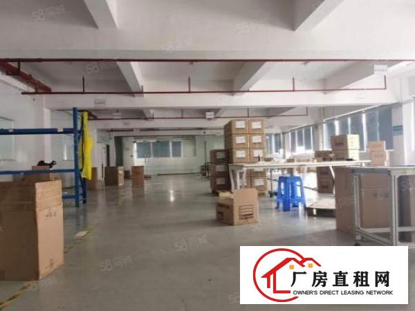  塘厦沙湖新出标准厂房楼上1450平方，电商贸易可拎包入住