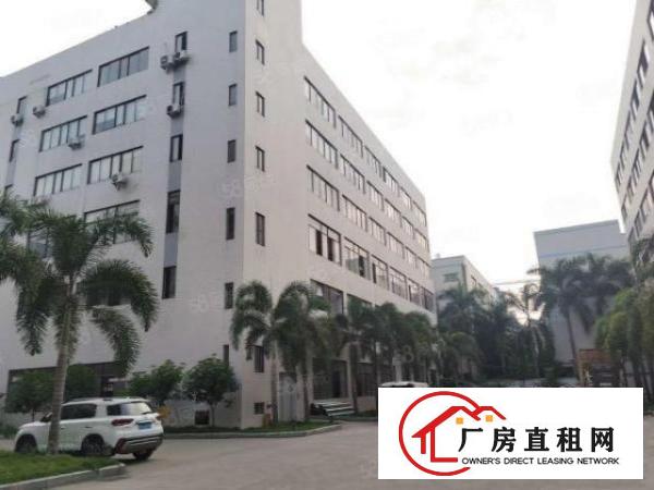  塘厦沙湖新出标准厂房楼上1450平方，电商贸易可拎包入住