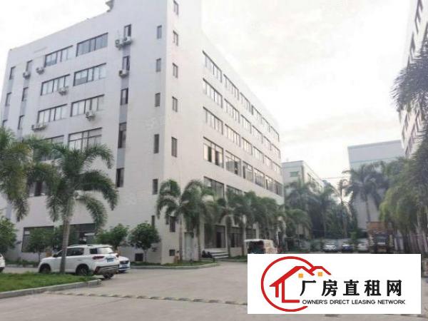  塘厦沙湖新出标准厂房楼上1450平方，电商贸易可拎包入住