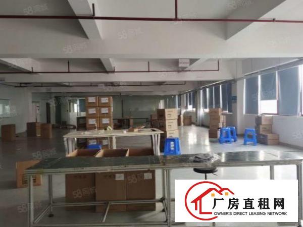  塘厦沙湖新出标准厂房楼上1450平方，电商贸易可拎包入住