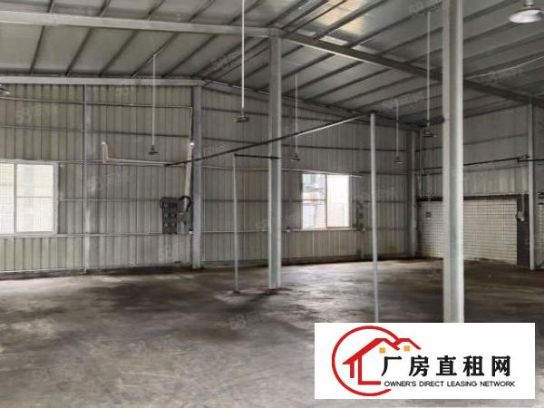  出租|独门独院|钢构厂房|报价19元|可分租